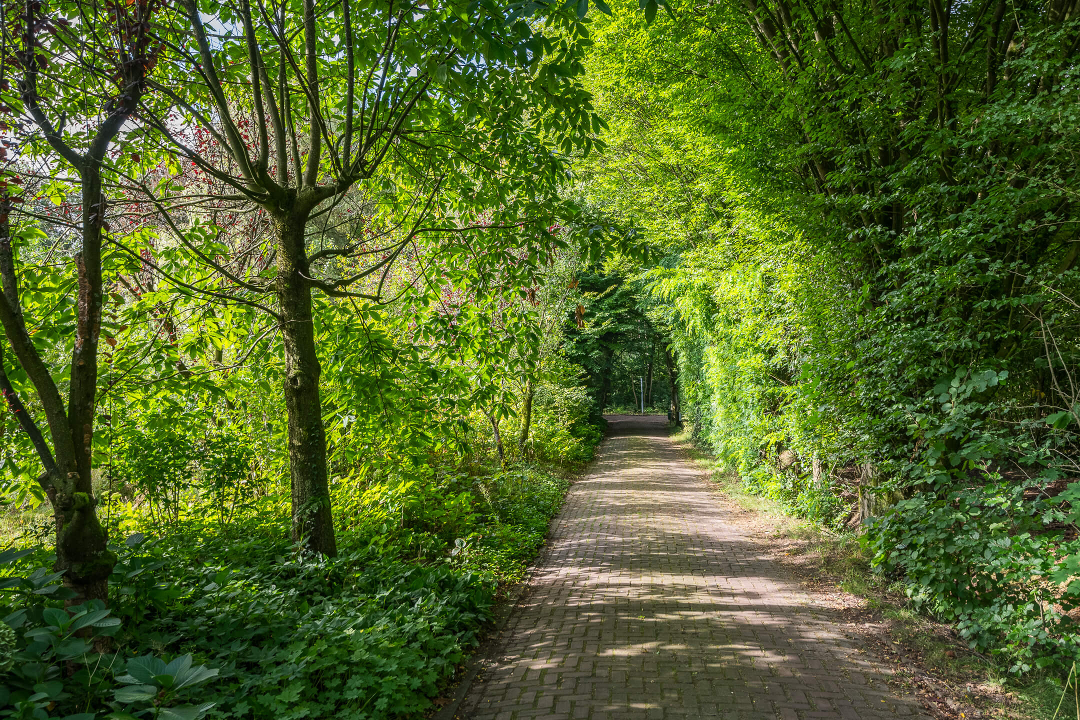 locatie voor jouw retreat dichtbij utrecht in de natuur
